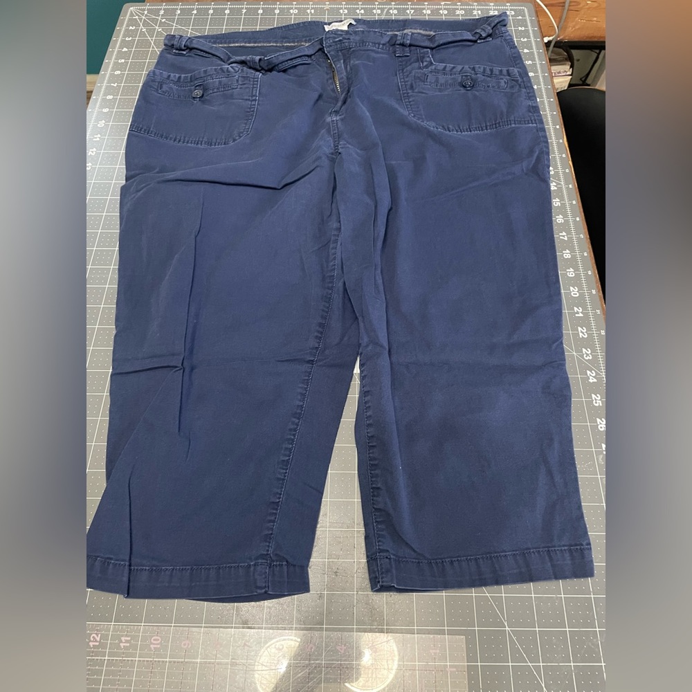 Womens Navy capri pants